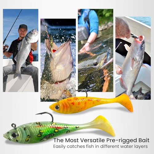 6 pcs Jig Head Soft Fishing Lures (6 pcs Paddle Tail Soft Lures)