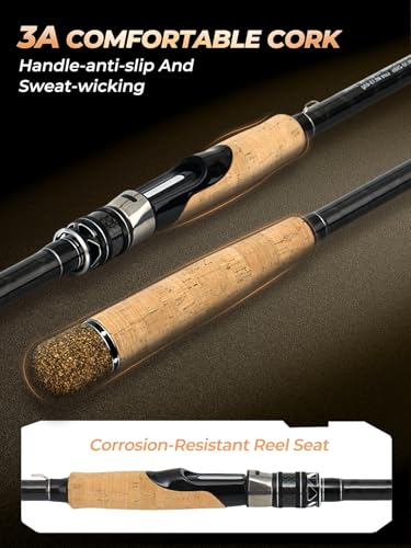 12Ft Spinning Fishing Rod (12'0"-Heavy-Fast-Black)