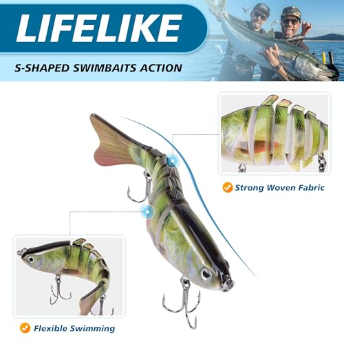 6PCS Fishing Lures for Freshwater and Saltwater with case
