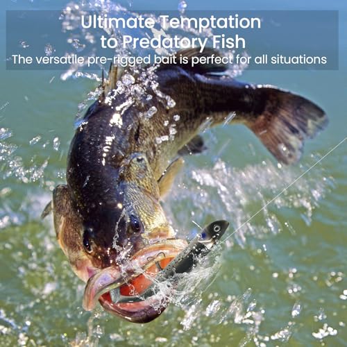 Pre Rigged Fishing Plugs for Saltwater Freshwater Bass Walleye (Jig Head Soft Lure Dark Set)